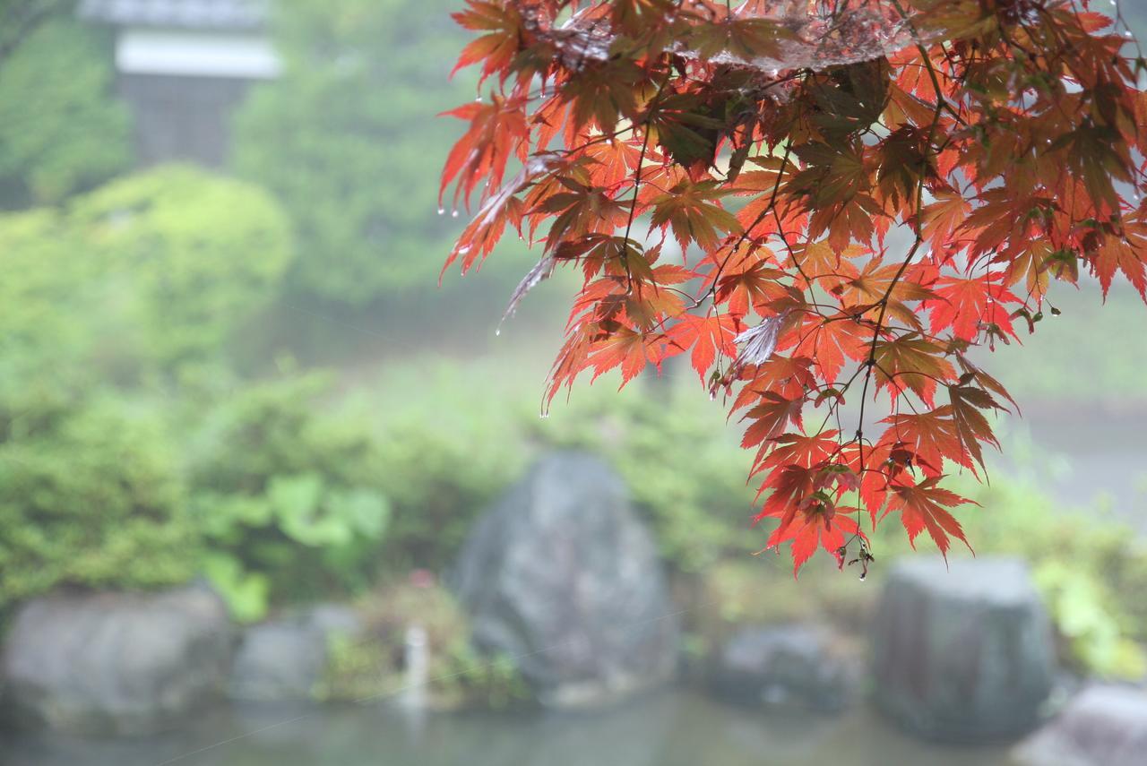 Suwakonomori Shikitei Hotel Suwa  Eksteriør billede